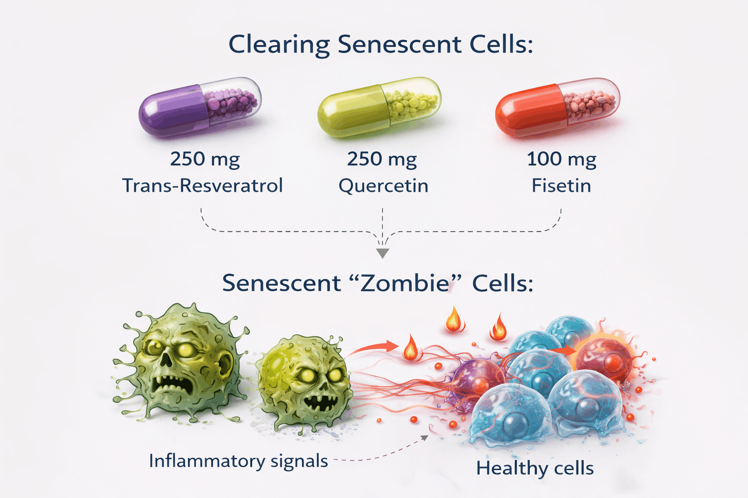 ChatGPT Image Mar 4, 2026, 01_37_53 PM (1).png