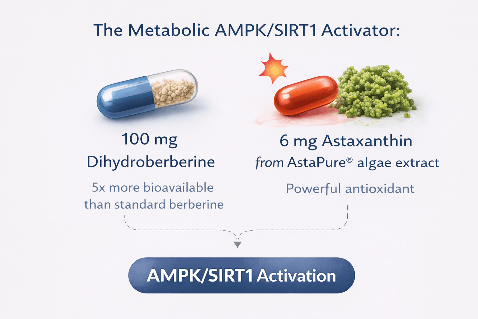 ChatGPT Image Mar 4, 2026, 01_39_19 PM (1).png